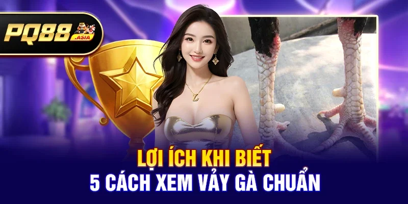 5 Cách Xem Vảy Gà Chuẩn Giúp Tăng Tỷ Lệ Thắng Trong pq88