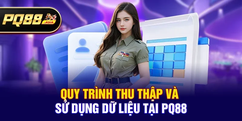 Quy trình thu thập và sử dụng dữ liệu tại pq88